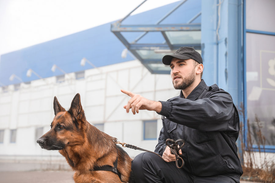 Entreprise de sécurité Val-d'Oise (95)