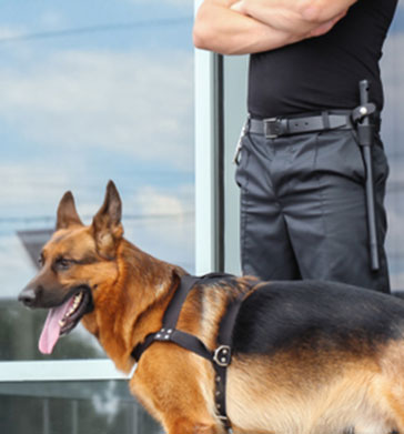 Agent de sécurité